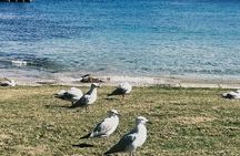 Private Great Ocean Road Tour