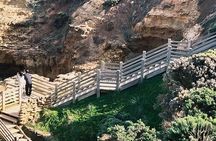 Private Great Ocean Road Tour