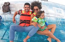 Cabo Clearboat Tour to the Arch with Transportation