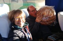 Bus Journey from Cusco to Puno along the Route of the Sun