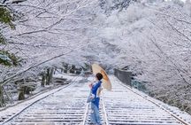 Kyoto Guided Private Tour 