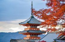 Kyoto Guided Private Tour 