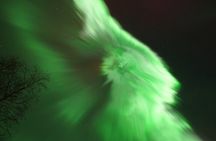 Rovaniemi Northern Lights – The Real Guaranteed Hunt
