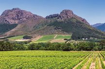  Franschhoek Private Car Tour from Cape Town