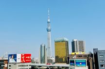Tokyo Private Half-Day Highlights Tour by Car with Guide