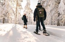 Snowshoeing in the Arctic Wilderness Rovaniemi
