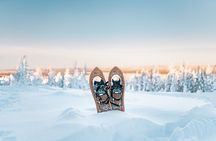 Snowshoeing in the Arctic Wilderness Rovaniemi