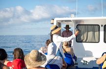 All-Inclusive Capri and Anacapri with Blue Grotto Visit