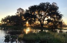 1 Hour Florida Everglades Wildlife Tour