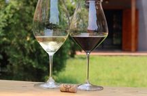Kigali Wine Tasting Experience