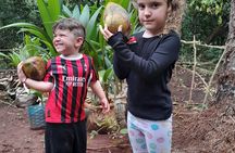 Zanzibar Organic Spice Farm Tour With Lunch