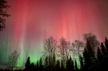 Guaranteed Northern Lights Tour in Rovaniemi