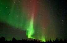 FAMILY FRIENDLY Aurora tour by minivan