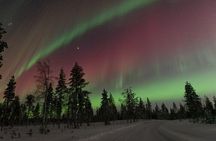 Auroras Family School of Small Hunters with BBQ