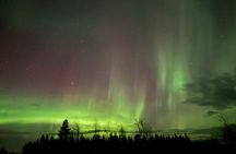 Private Northern Lights Trip To Fill All Your Dreams