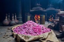 Experience Kannauj the perfume capital from Agra in Private Car