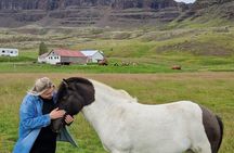 Private Farm Experience & Silver Circle Day Tour in West Iceland