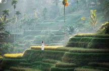 Best of Ubud Tour - Private and All-Inclusive