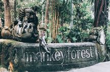 Best of Ubud Tour - Private and All-Inclusive