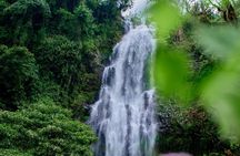 Discover Materuni Waterfalls on Moshi Private Tour