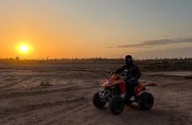 Palmeraie Quad Bike Desert Adventure