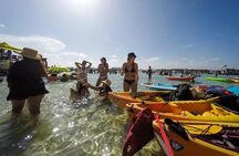 Miami Biscayne Bay Boat Tour with Sandbar Experience.