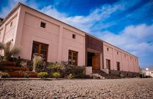 Private Tour + Uco Valley Vinicolas