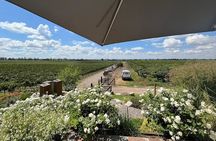 Private Tour + Uco Valley Vinicolas