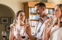 Cape Winelands and Cheetah Encounter Full Day Tour