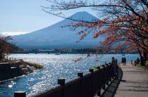 Tokyo to Mount Fuji Private Guided Experiences 