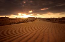 Desert Safari ,Morning, Afternoon, Sunrise, Sunset, Night Options