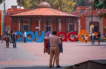 Mexico City : Frida Kahlo, Xochimilco & Coyoacán Tour