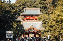 Kamakura Private Custom Tour: Great Buddha, Temples & Coast