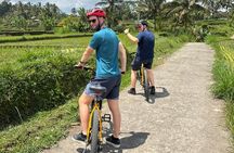 Kintamani Down Hill Cycling