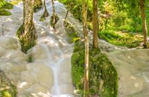 Chiang Mai Elephant Sanctuary and Sticky Waterfall Day Tour