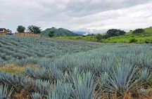 Private Experience to San Sebastián del Oeste