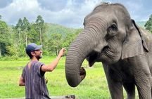 Best Seller | 2-Day Jungle Trek: Elephants, Raft & Karen Life