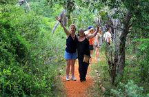 Amber Mountain and Red Tsingys for Passengers Boats