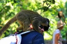 Amber Mountain and Red Tsingys for Passengers Boats