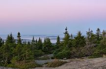 Cadillac Mountain Summit Tour in Acadia 