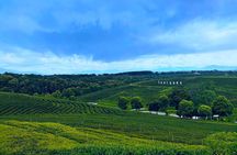 Private Choui Fong and Golden Triangle Explorer from Chiang Rai