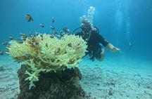 Phuket Racha PADI Discover Scuba Diving 2 Dives and GoPro