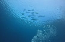 Phuket Racha PADI Discover Scuba Diving 2 Dives and GoPro