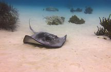 Discover Scuba Diving