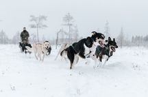 Rovaniemi Santa Claus Village Husky and Reindeer Tour VIP VAN