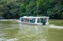 Wildlife & Waterways: Jaguar Rescue & Tortuguero Canals Tour