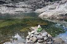 Hilo Waterfall Hike and Swim with Native Hawaiian