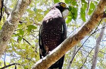 Minneriya National Park Shared 4WD Adventure