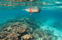 Mnemba Island Snorkel and Seafood BBQ Adventure