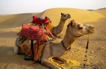 Private Overnight Safari Tour with Camel Ride